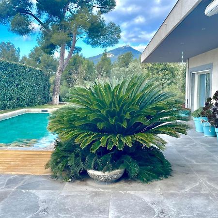 Chambre Luxe Dans Villa De Standing Avec Piscine, Acces Discret Et Independant, Terrasse Arboree Et Parking Prive La Valette-du-Var Bagian luar foto