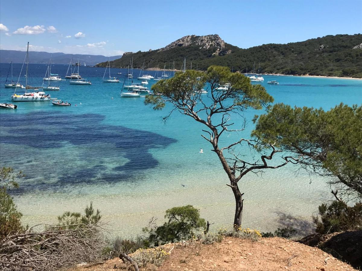 Chambre Luxe Dans Villa De Standing Avec Piscine, Acces Discret Et Independant, Terrasse Arboree Et Parking Prive La Valette-du-Var Bagian luar foto