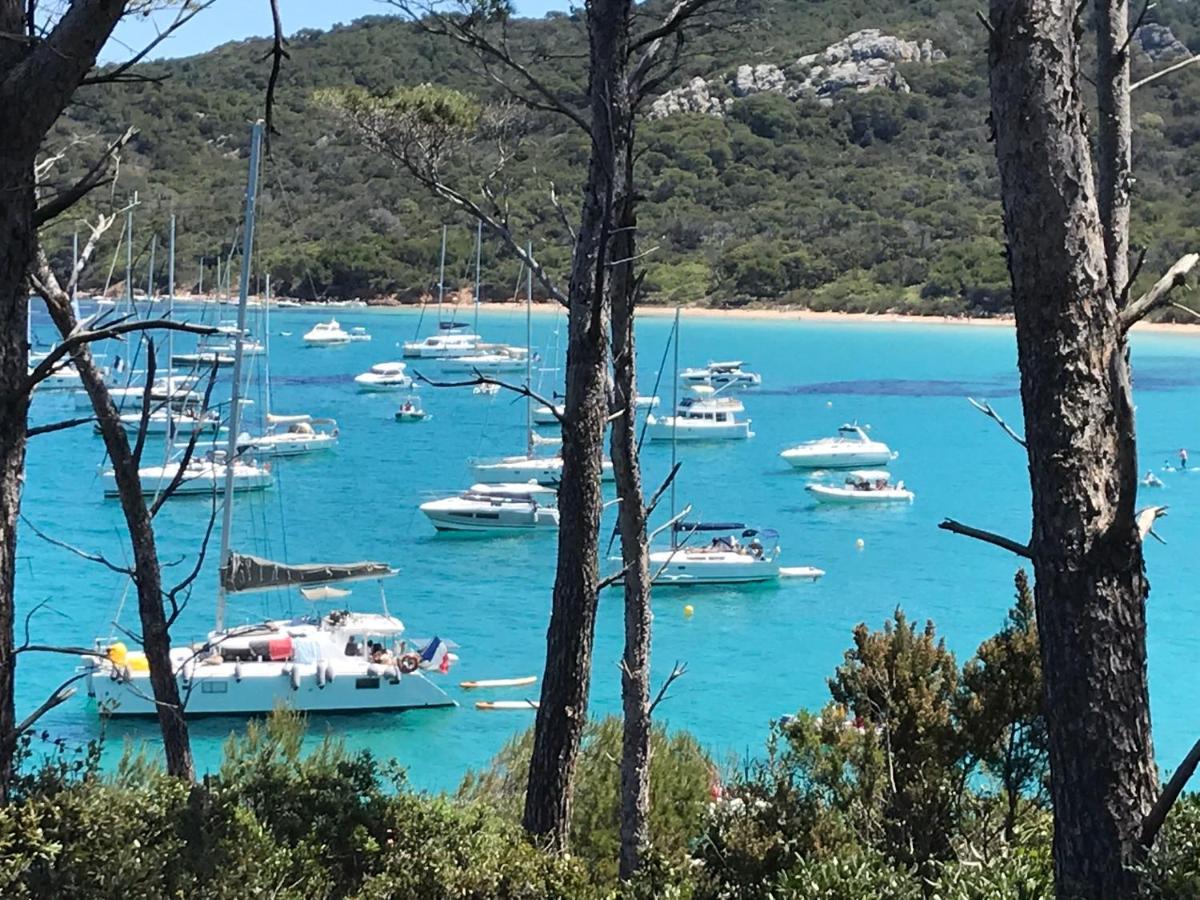 Chambre Luxe Dans Villa De Standing Avec Piscine, Acces Discret Et Independant, Terrasse Arboree Et Parking Prive La Valette-du-Var Bagian luar foto