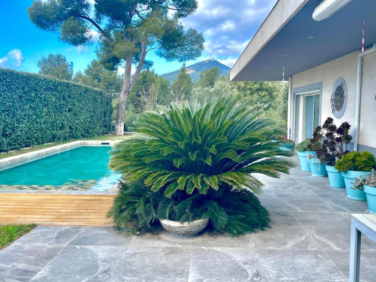 Chambre Luxe Dans Villa De Standing Avec Piscine, Acces Discret Et Independant, Terrasse Arboree Et Parking Prive La Valette-du-Var Bagian luar foto